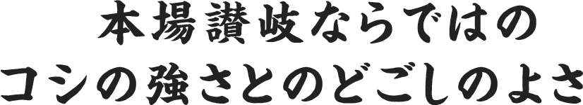 本場讃岐ならではのコシの強さとのどごしのよさ