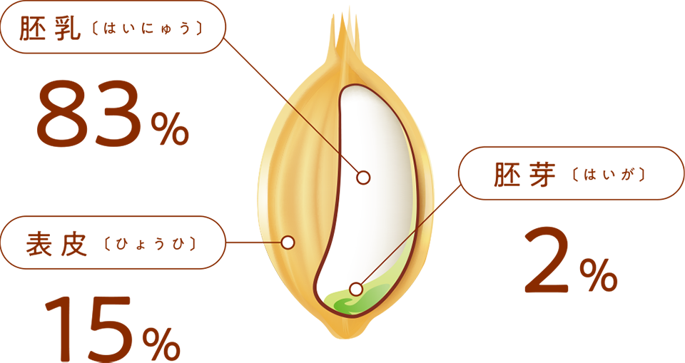 「小麦ブラン」図