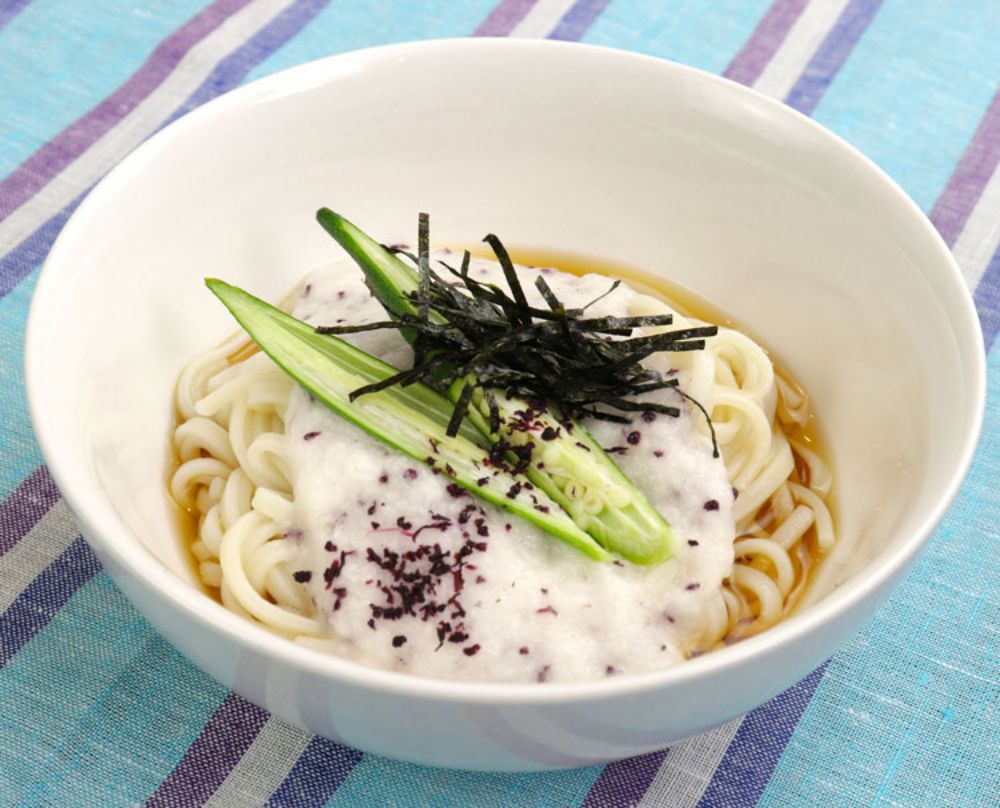 冷たいとろろうどん 冷たいとろろうどん