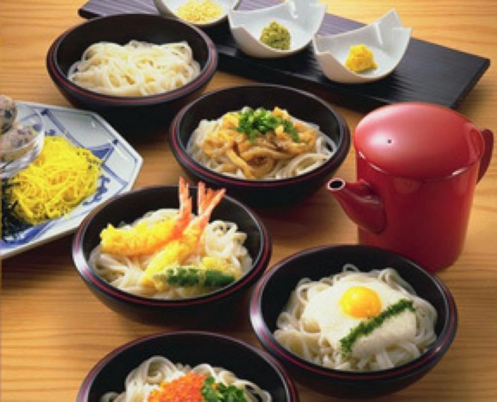 冷やしわんこうどん 