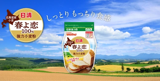 日清 北海道産小麦 春よ恋100% 強力小麦粉