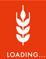 LOADING...